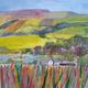 Farm in the Dales