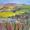 Farm in the Dales