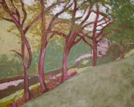 Trees by the River