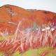 Welsh View, Autumn | £350 | | oil on canvas Welsh View, Autumn
