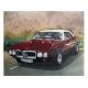 Pontiac | £350 | 51 x 41cm | Gouache Pontiac