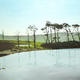 highlands | £275 | 91 x 61cm | Acylic on Canvas highlands