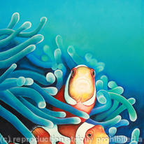 Close Encounters - Clownfish