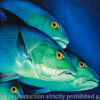 Close Encounters - Snappers