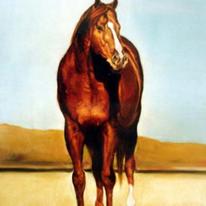 Horse 1