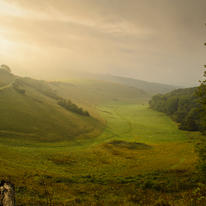Southdowns