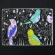 Rainbow Birds I