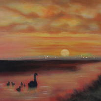 Swan
