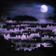 Moonlight | | | Acrylics inlaid with mirror pieces to reflect light Moonlight