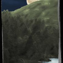 A moonlit night