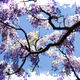 Spring | | | Photography Spring