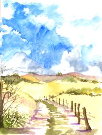 horses' field