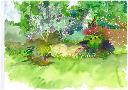 Richmond Road garden