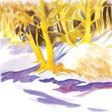 snowy woods - Watercolour