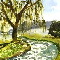 Westdean Willow