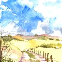 horses' field