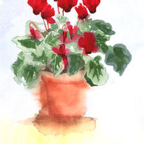 hidden cyclamen