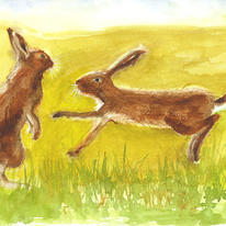 hidden Sparring Hares