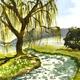 Westdean Willow | | | Watercolour Westdean Willow