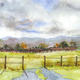 Peaceful afternoon -…