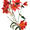 Alstroemeria