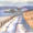 Downland-track
