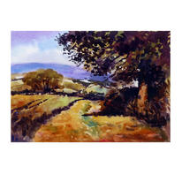 Shropshire landscape