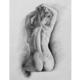 Back study. | | | Graphite Back study.