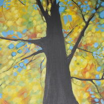 hidden beech tree