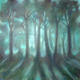 moonlit wood | £315 | 50 x 50cm | acrylic on canvas moonlit wood