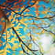 autumn light 1 | £190 | | acrylic on canvas autumn light 1