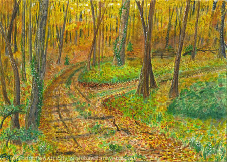 The Road Not Taken