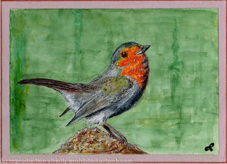 Robin