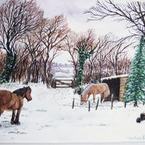 Late Snow in the Paddock.