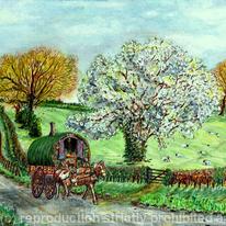 Springtime on the Open Road