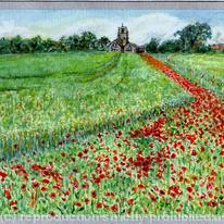 Poppy Field in Norfolk