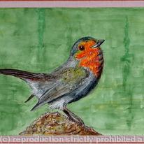 Robin