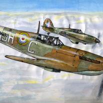 Spitfire & Hurricane