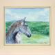 Exmoor Pony