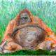 Who Ate All The Pies…