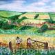 Cotswolds Cornfield