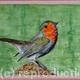 Robin