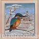 Kingfisher