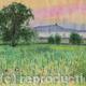 Glastonbury Tor