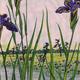 The Iris Garden at Horikiri…