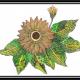 Sun Flower