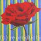 rose-red