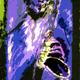 Blue Saxophonist