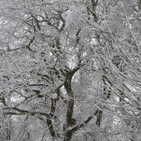 snow 2