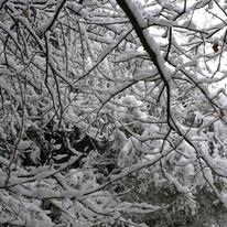snow 4